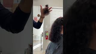 Curly Hair Cut | Cosmo Prof | Stylist Brenda Espinosa