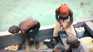 Belize Travel Guide - Fishing off South Water Caye!