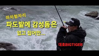 영덕 노물 마차형자리...