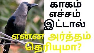 காகம் எச்சம் இட்டால் என்ன பலன் | kakam echil palan