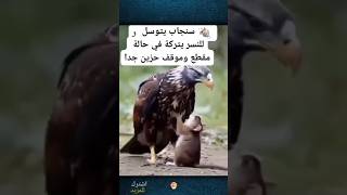 لولا وجود التصوير لما صدقها أحد ، أُذْكُر الله وشاهد للنهاية #shorts .