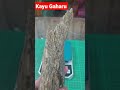 Kayu Gaharu Malaysia