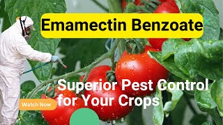 Emamectin Benzoate Insecticide: Powerful Pest Control for Agriculture