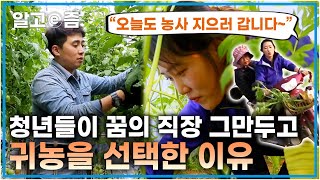 연구실과 대기업 직장을 떠나 농촌으로 떠난 청년들! 그들이 시골로 온 이유는? 자연에서 토마토🍅, 당근🥕 농사 지으며 키우는 또 다른 큰 꿈│시대 공감 스토리 그곳│알고e즘