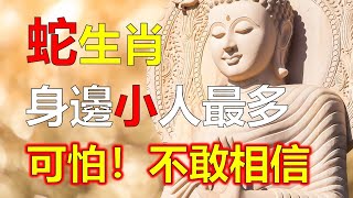 2023年12生肖运势，預測十二生肖運勢，生肖蛇與小人相處是最難把握分寸的，屬蛇一不小心得罪了他們，就等於給屬蛇人身邊安了一個炸彈，生肖蛇只能磨練的懂得人情世故，生肖蛇慢慢的也都知道，應該少得罪人