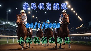 賽馬投資-26/1/2025 香港賽馬第2/4場貼士心水 WIN PLACE 3X4 HK Horse Racing Tips R2 R4