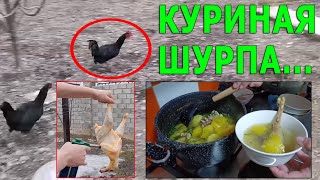 Шурпа с Курицей ароматный и очень вкусный суп🥣