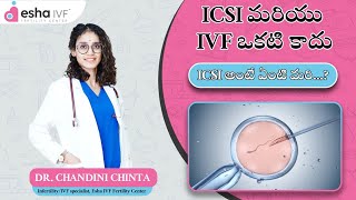 ICSI మరియు IVF ఒకటి కాదు-ICSI అంటే ఏంటి మరి...?  |  ICSI Procedure | ICSI  Treatment | Esha IVF