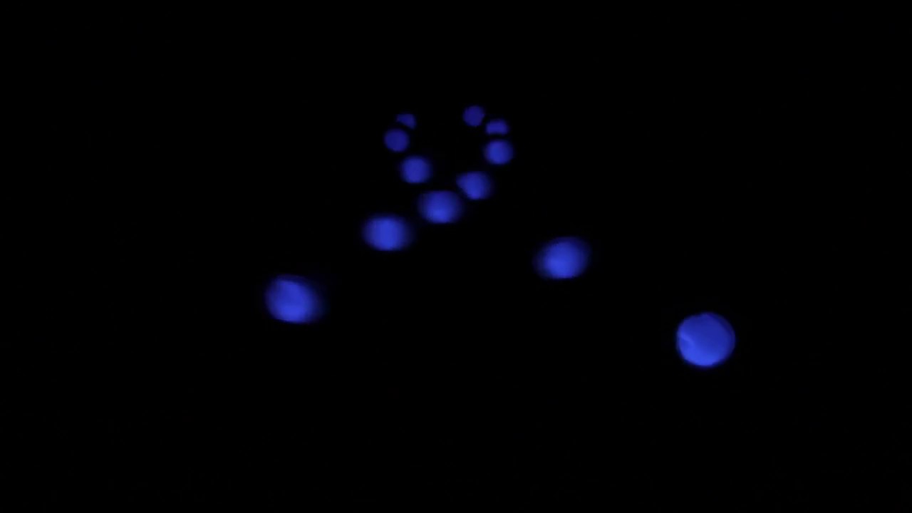 Pendulum Wave Effect