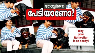 ഒരു Rottweiler പ്രണയകഥ! | The Best Gaurd Dog Forever @NANDASPets