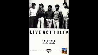 チューリップ－Live Act TULIP 2222_The 21st century Hobo－2222年ピクニック