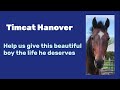 Timcat Hanover