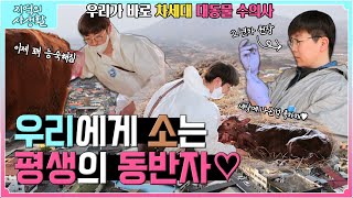 [지역의 사생활] 풀버전 | 대동물 수의사?🐂🐖 이젠 우리에게 맡기세요! | KBS 230414