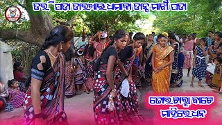 Tor Challa bate mahire dhana 🌿 Darlipada Dalkhai Dhamaka Dance Majhi Pada Video 2024