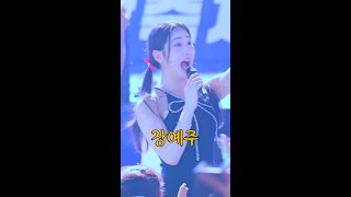 울고 넘는... 24.08.23.