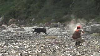 DOMUZ AVI- BAŞTAN SONA ADRENALİN  / WILD BOAR HUNTING-ADRENALINE FROM END TO END