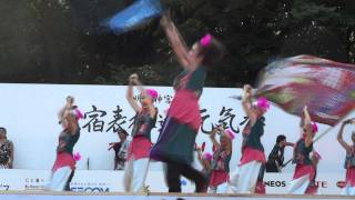 2011年原宿元気祭りスーパーよさこい　群青