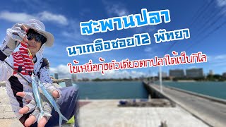 PSCH ตกปลาตับเต่า สะพานปลานาเกลือซอย12 พัทยา EP.1