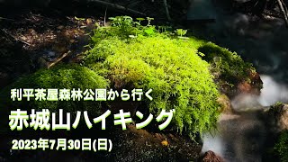 利平茶屋森林公園から行く赤城山ハイキング