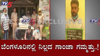 ಬೆಂಗಳೂರಿನಲ್ಲಿ ನಿಲ್ಲದ ಗಾಂಜಾ ಗಮ್ಮತ್ತು | Ganja | Bangalore | TV5 Kannada