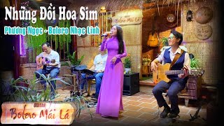 Những Đồi Hoa Sim  | Phương Ngọc trở lại Nhạc Lính xưa | Ducmanh Guitar Bolero Mái Lá