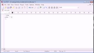 Beginner PHP Tutorial 9 echo flv