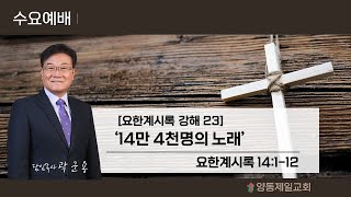 담임목사(양동제일교회) 2023.11.01 수요예배[실황]