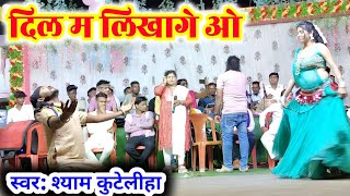 दिल म लिखागे ओ गोरी वो तोर नाम | श्याम कुटेलीहा | dil ma likhage o | shiyam kuteliha stage program