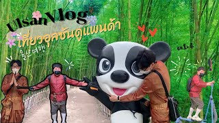 Ulsan Vlog ~ Strolling around Ulsan City Park Found a panda in the middle of the bamboo forest!🐼