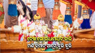 ଦେଖ ଗୋ ରାଧାମାଧବ ଚାଲି, ମଣି ବିମାନ ଆସେ ଝୁଲି ଝୁଲି... #shorts #ytshorts #Shortsfeed #short #Shortvideo