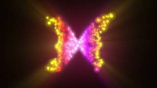 Butterfly, 4K butterfly video background free, multicolor butterfly motion background effect 2160p