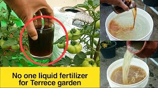 మొక్క ఎదుగుదలకు అవసరమైన పోషక ద్రావణం#LIQUIDFERTILIZER#DIYS#PESTICIDES#SEEDS#NEEMOIL