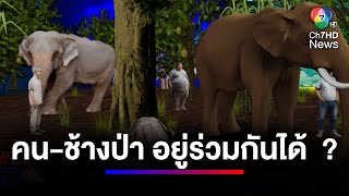 หาคำตอบ คน-ช้างป่า อยู่ร่วมกันได้ จริงหรือ ? | สนามข่าว 7 สี