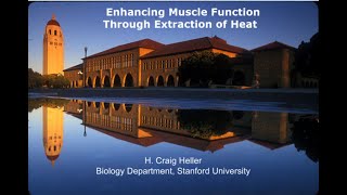 Enhancing Muscle Function Through Heat Extraction - lecture by Stanford professor, Dr. Craig Heller