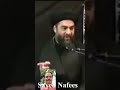 Imam e zamana (as) Ka  Naara kya Lagayege|| Maulana Ali Raza Rizvi Saheb