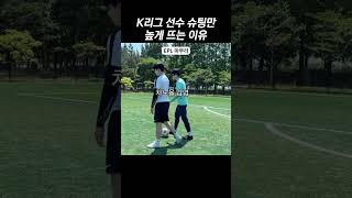 K리그와 EPL 잔디 비교