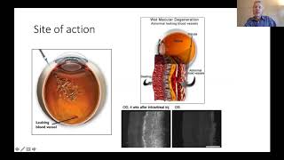 VEGF and anti-VEGF in Eye Disease