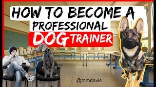 How to become a professional dog trainer? - Everything you need to know to become a dog trainer-