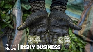 How Cocaine Is Made in Colombia With Bootleg Gasoline | Risky Business | Insider