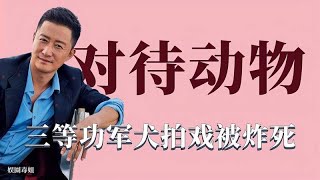 对待动物的差距：军犬拍戏被活活炸死，吴京拍马戏人在马在