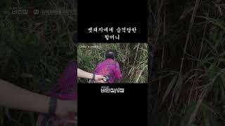 사람 공격하는 멧돼지 | 김이나의 비인칭시점
