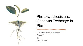 Photosynthesis and Gaseous Exchange in Plants| Class 10th CBSE, UP Board| Competitive exams