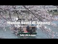 Musim Semi di Jepang Saat Bulan Ramadhan| Habis Subuhan Hunting Sakura| Hanami #spring #musimsemi