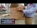 Selladora de Cajas de Cartón Semiautomática