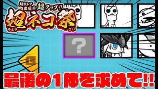 【Switch版実況】まだ持っていない超ネコ祭限定キャラの残り1体出ればコンプなので100連ぶん回します！！【ふたりでにゃんこ大戦争】