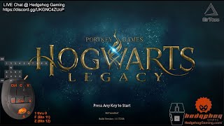 Hogwarts Legacy with The Hedgehog - Mouse/Keyboard Prototype Device - MrTass - LIVE