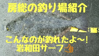 房総の釣り場紹介 岩和田サーフ編