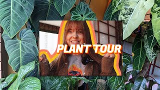 PLANT TOUR! Showing you around my whole plant collection!