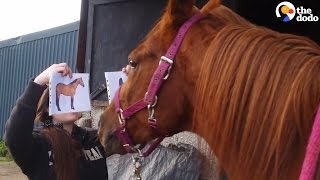 Horse Knows Exactly Which Picture To Choose