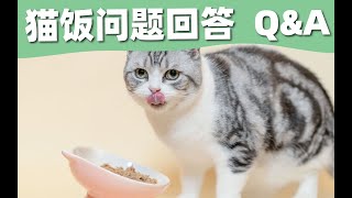 制作猫饭Q&A 制作猫饭你会有这些疑问吗？专题讲解制作猫饭的那些事吧！